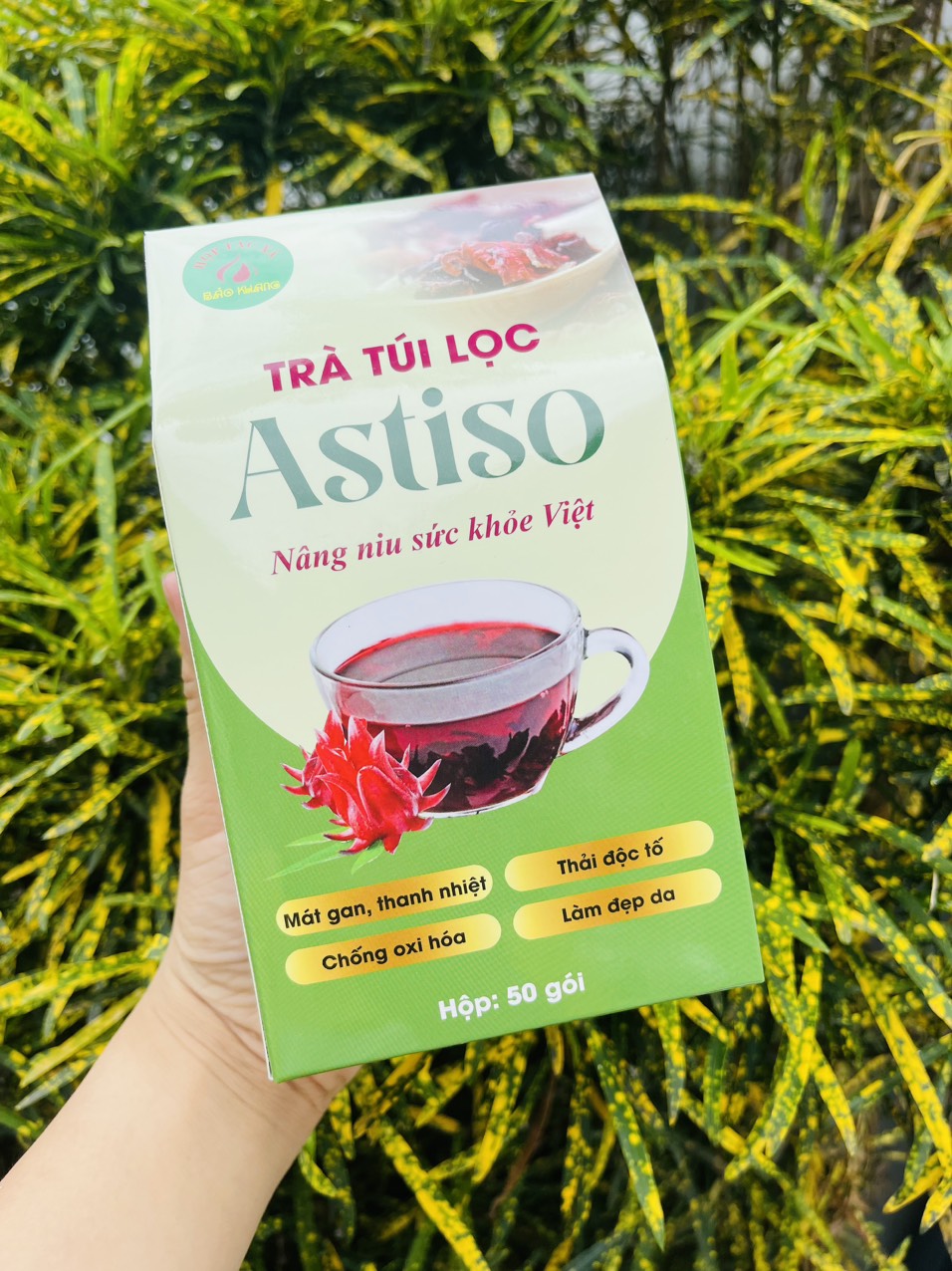 Trà túi lọc Atiso