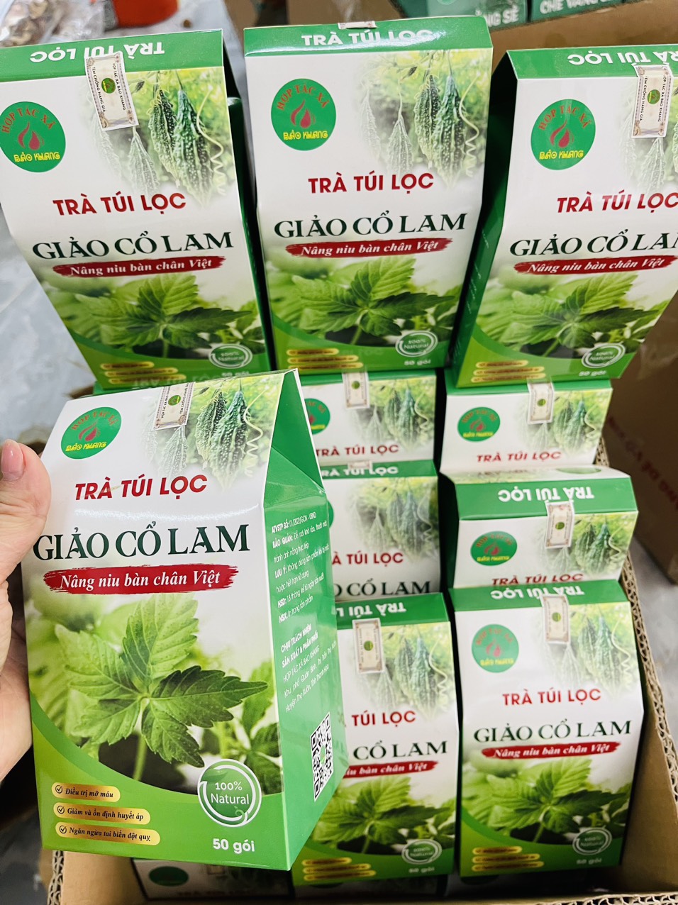 Trà túi lọc Giảo Cổ Lam