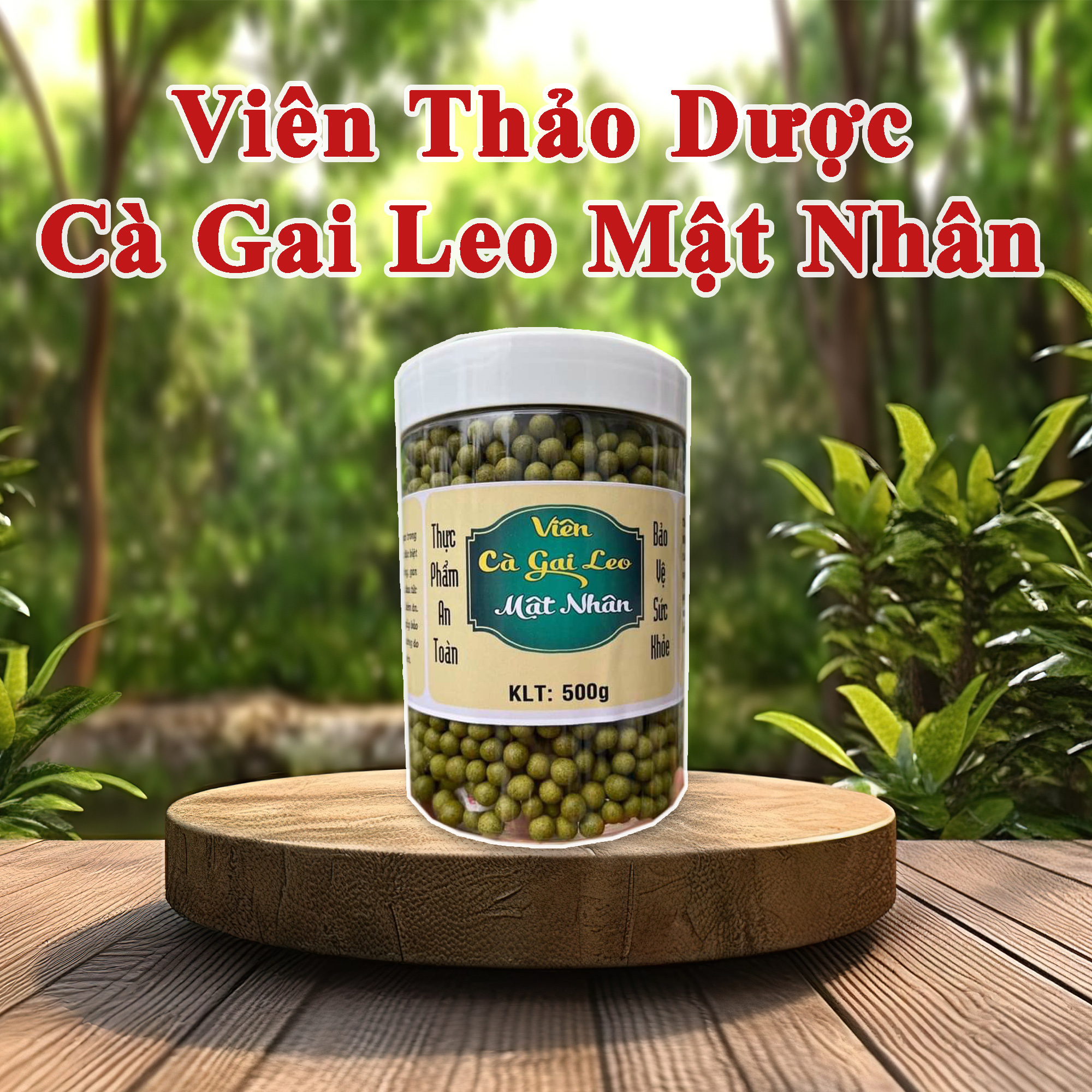 Cà gai leo mật nhân