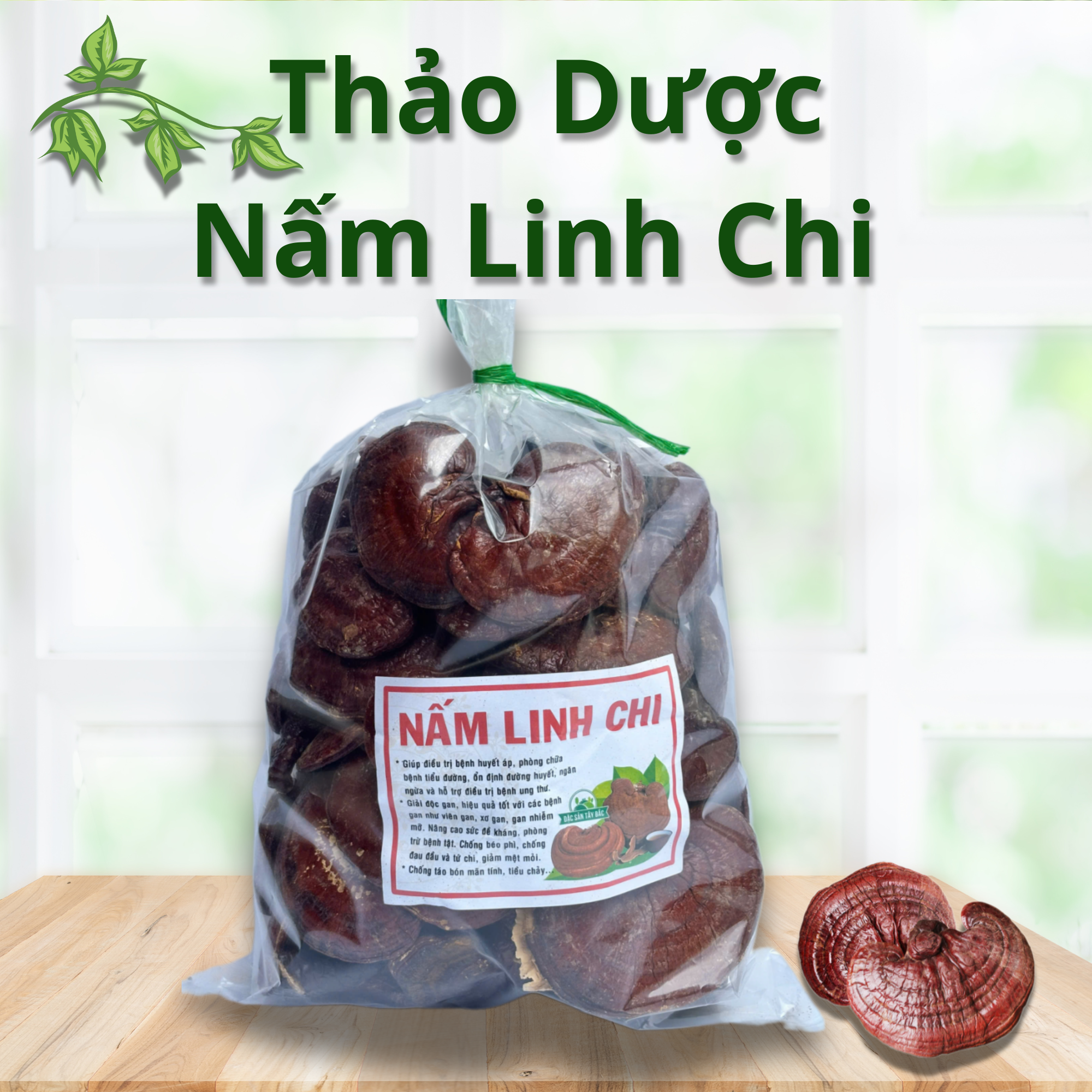 Thảo Dược Nấm Linh Chi