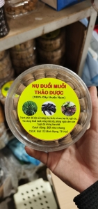 Nụ Đuổi Muỗi Thảo Dược (100% Cây Thuốc Nam)