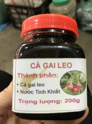 Cao Cà Gai Leo - Thảo Dược Tây Bắc