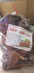 Nấm Linh Chi Rừng Tự Nhiên (1kg)