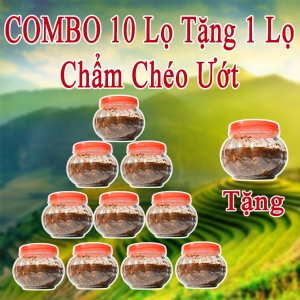 Combo 10 lọ Chẩm chéo Ướt 300g  ( TẶNG 1 LỌ )