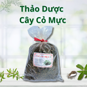 Thảo Dược Cây Cỏ Mực