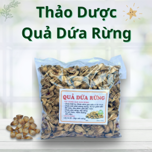 Thảo Dược Quả Dứa Rừng