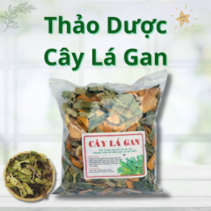 Thảo Dược Cây Lá Gan