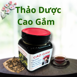 Thảo Dược Cao Gắm - Hộp nhựa