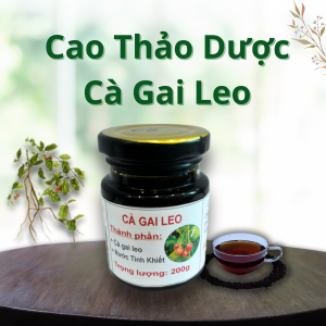 Cao Thảo Dược Cà Gai Leo - Hộp Thuỷ Tinh