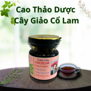 Cao Thảo Dược Cây Giảo Cổ Lam - Hộp thuỷ tinh